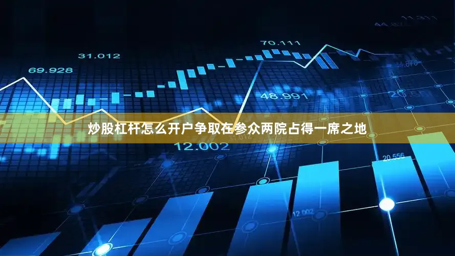 炒股杠杆怎么开户争取在参众两院占得一席之地