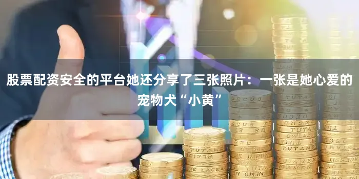 股票配资安全的平台她还分享了三张照片：一张是她心爱的宠物犬“小黄”