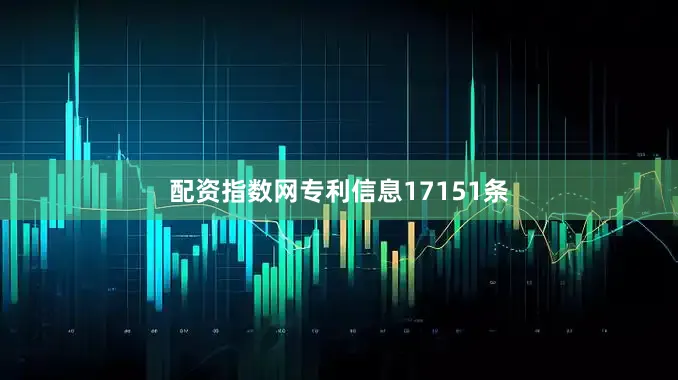 配资指数网专利信息17151条
