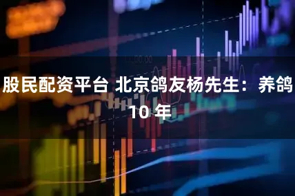 股民配资平台 北京鸽友杨先生：养鸽 10 年