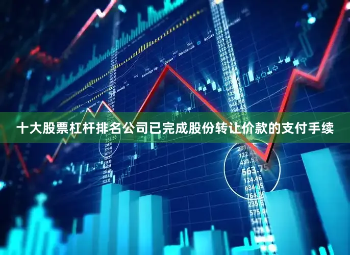 十大股票杠杆排名公司已完成股份转让价款的支付手续