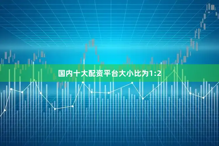 国内十大配资平台大小比为1:2