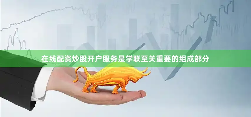在线配资炒股开户服务是学联至关重要的组成部分