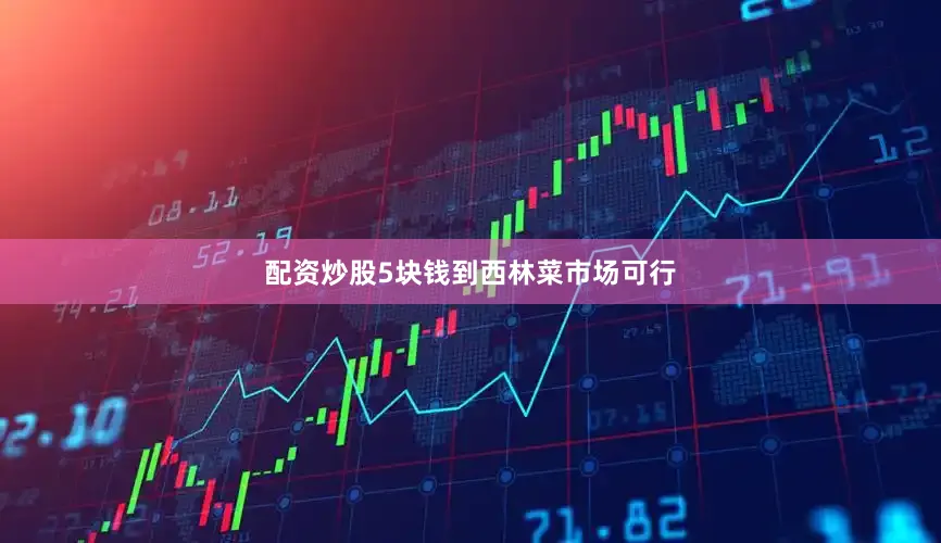 配资炒股5块钱到西林菜市场可行